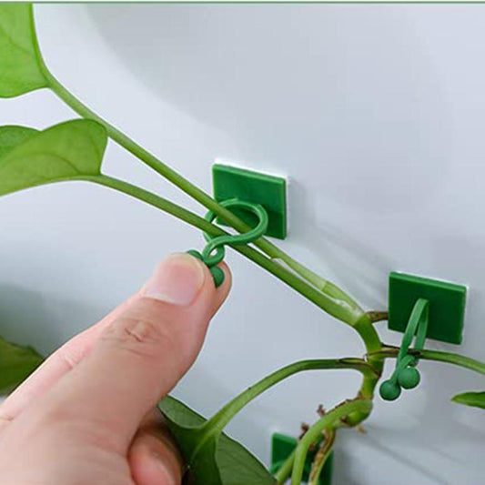 Plant Climbing Wall Fixing Clips