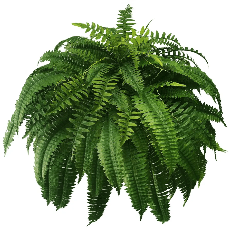 Last Day 75% OFF--🪴UV Resistant Lifelike Artificial Boston Fern