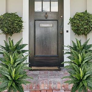 ☀️Last Day 75% OFF--🪴UV Resistant Lifelike Artificial Boston Fern