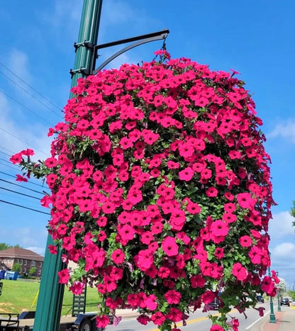🔥This Week's Special Sale 75% Off-🔥 UV Simulation Artificial flower
